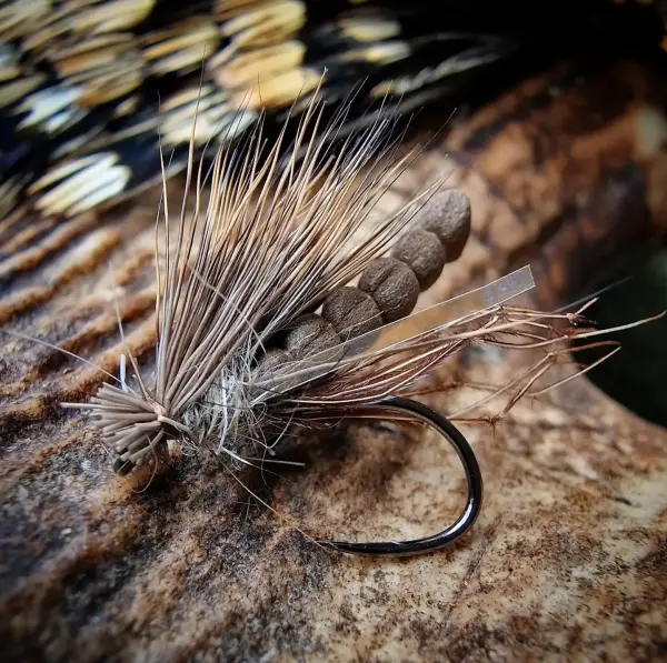 Brown Hog Daddy Long Legs | Kindale Fly Fishing