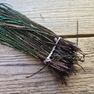 Peacock Herl