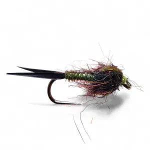 Dark Olive Biot Nymphs