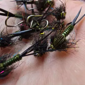 Dark Olive Biot Nymphs