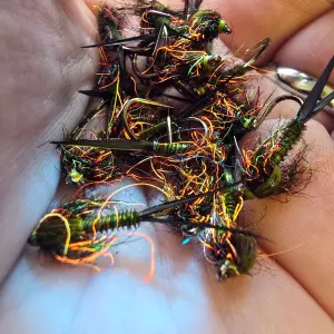 Dark Olive Biot Nymphs