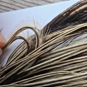 Ewing Dry Fly Top Cape