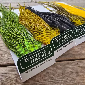 Ewing Woolly Bugger Pack
