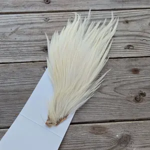 Ewing Cock Mini Pack 12-14