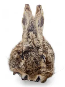 Natural Hare's Mask With Ears For Fly Tying – Real Fur, Trout Fishing, Fly Making
