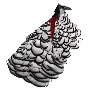 Veniard Amherst Pheasant No.1 Head