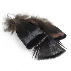 Kindale Bronze Turkey Body Plumage