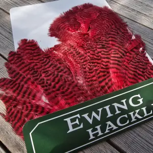Ewing Body Marabou Patch