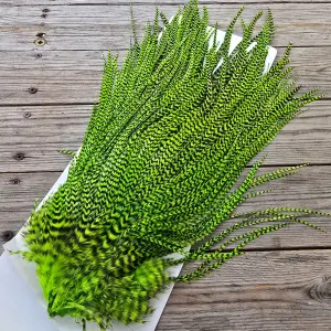 Ewing Cock Saddle Irish Colours