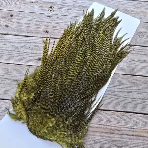 Ewing Cock Saddle Irish Colours