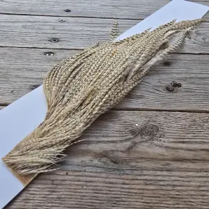 Ewing Dry Fly Half Cock Capes