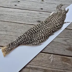 Ewing Dry Fly Half Cock Capes