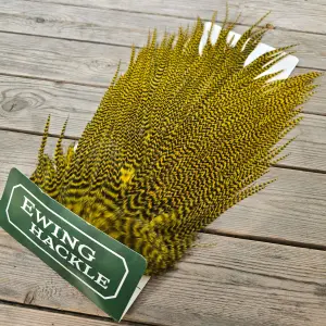 Ewing Cock Saddle