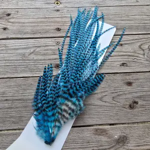 Ewing Woolly Bugger Pack