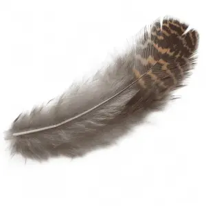 Veniard Grouse body plumage