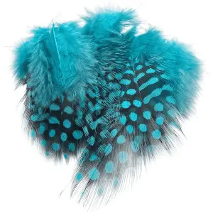 Veniard Guinea Fowl Selected