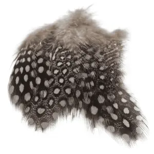 Veniard Guinea Fowl Selected