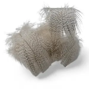 Kindale Mallard Duck Round Breast