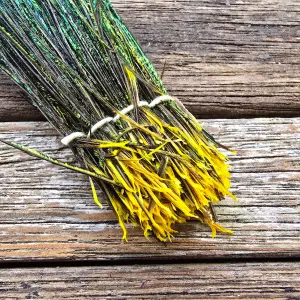 Peacock Herl