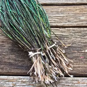 Peacock Herl