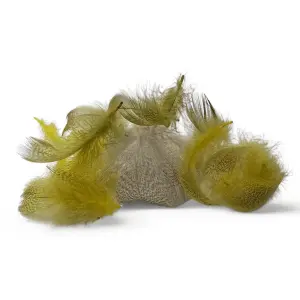 Kindale Mallard Duck Round Breast