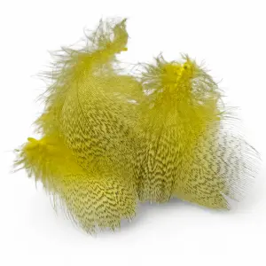 Kindale Mallard Duck Round Breast