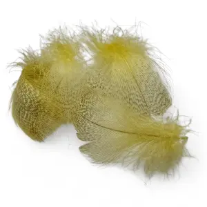 Kindale Mallard Duck Round Breast