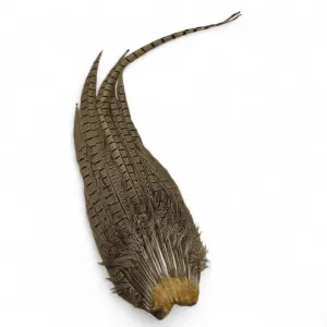 Veniards Cock Pheasant Complete Tails