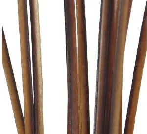 Polish Quills Hand Stripped Peacock Quills