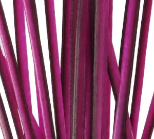 Polish Quills Hand Stripped Peacock Quills