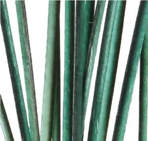 Polish Quills Hand Stripped Peacock Quills