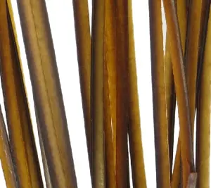 Polish Quills Hand Stripped Peacock Quills