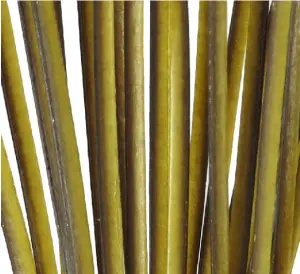 Polish Quills Hand Stripped Peacock Quills