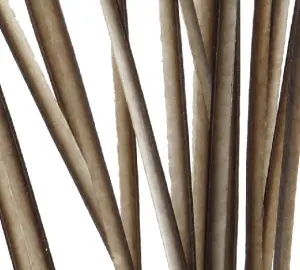 Polish Quills Hand Stripped Peacock Quills