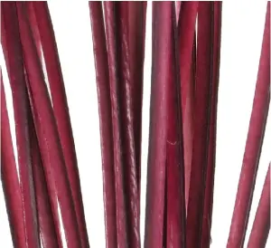 Polish Quills Hand Stripped Peacock Quills