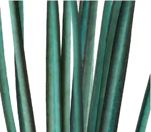 Polish Quills Hand Stripped Peacock Quills