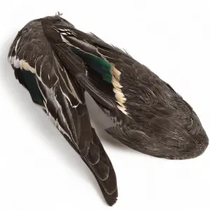 Veniard Teal Duck Wings