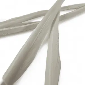 Veniard Turkey Biots