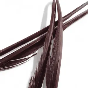 Veniard Turkey Biots