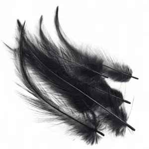 Veniard Short Cock Hackles Loose