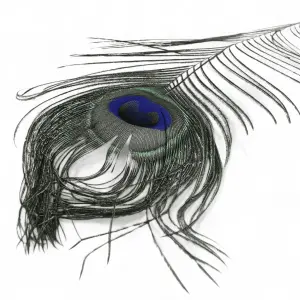 Veniards Peacock eye top